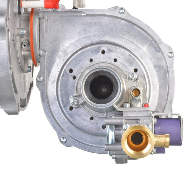 Rheem SP21001A Combustion Assy Nat (GHE80-200/300, GHE100-200/250/300)